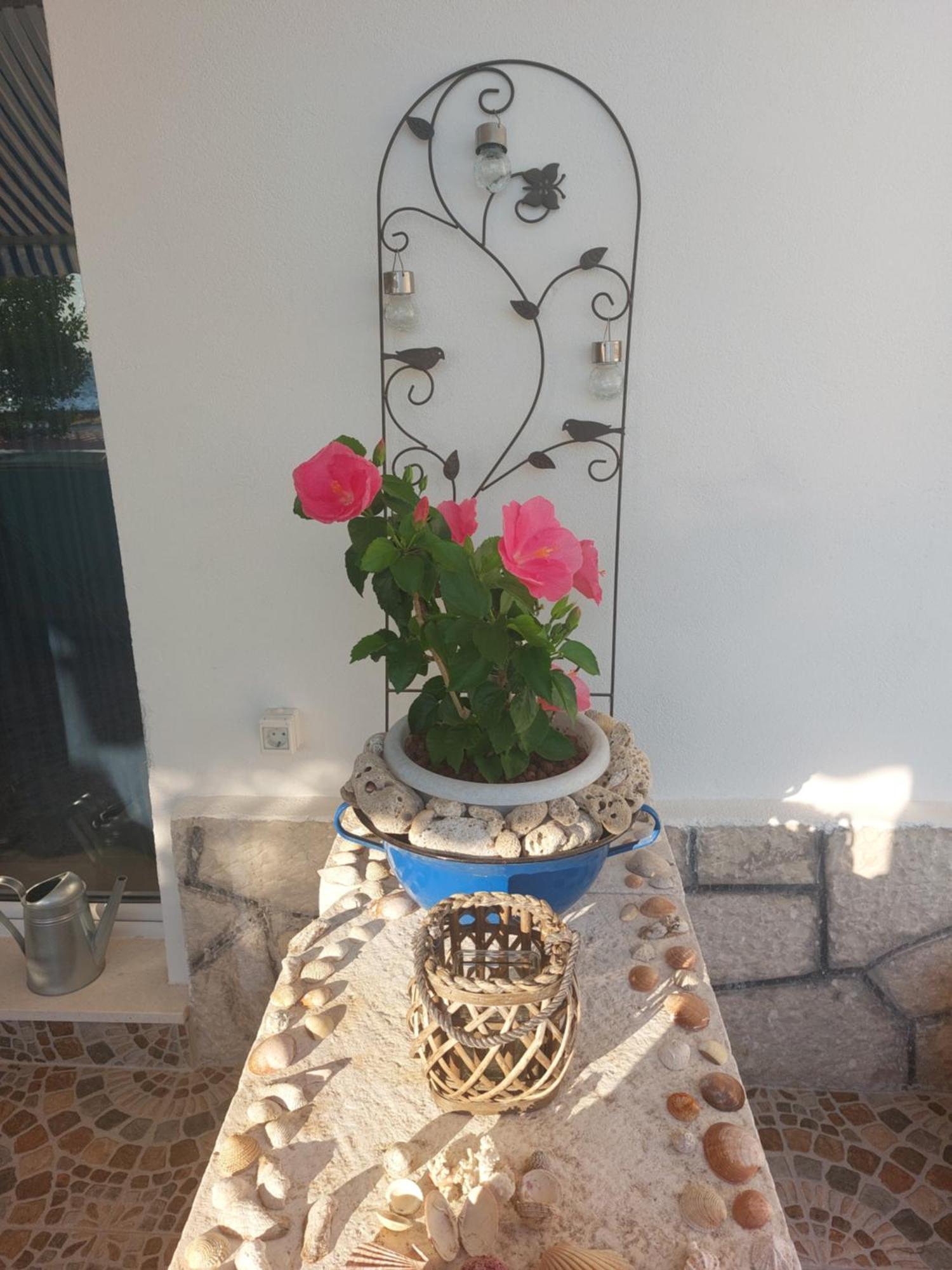 Apartmani Mirona - Tučepi Exteriér fotografie