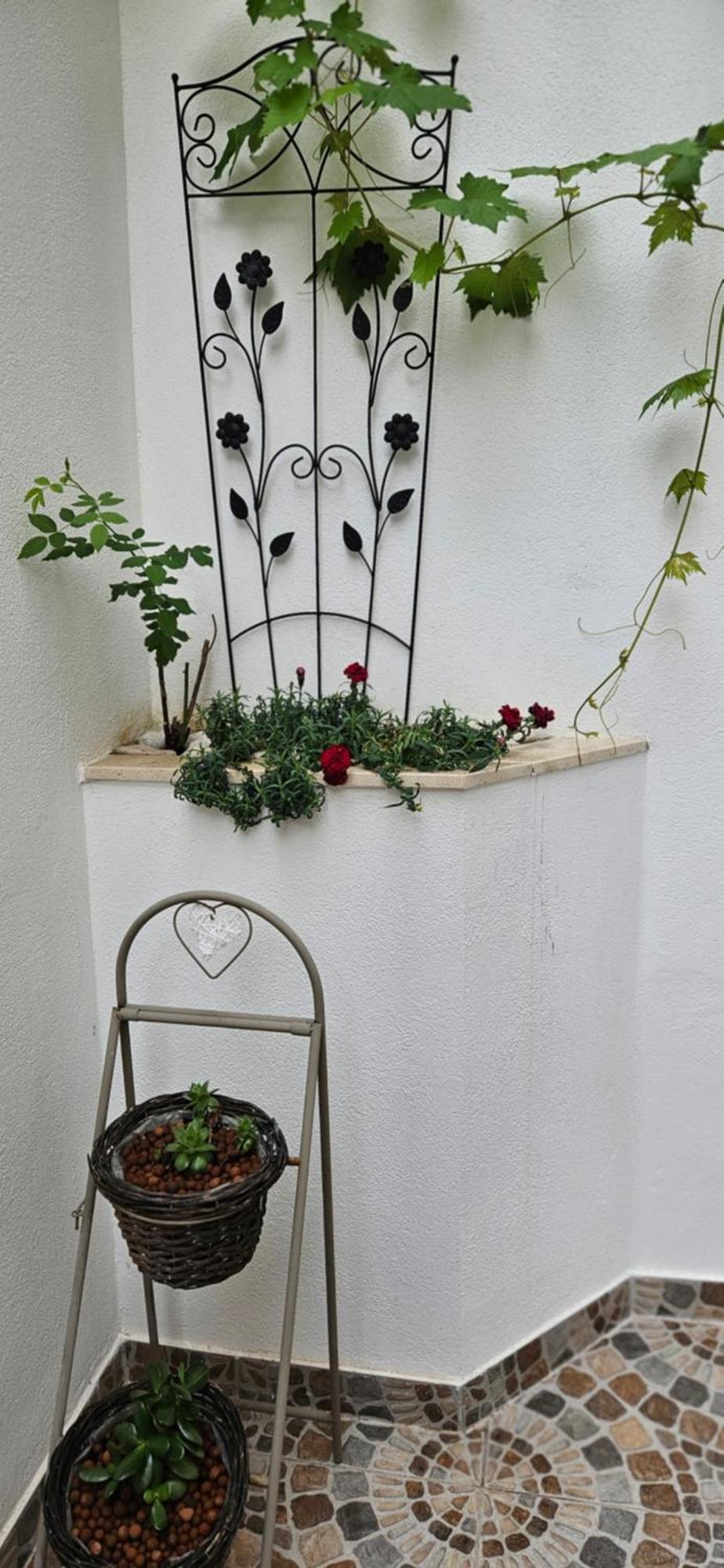 Apartmani Mirona - Tučepi Exteriér fotografie