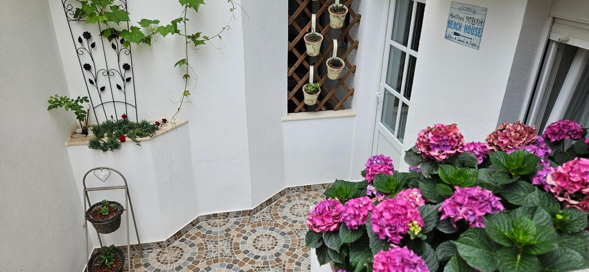 Apartmani Mirona - Tučepi Exteriér fotografie